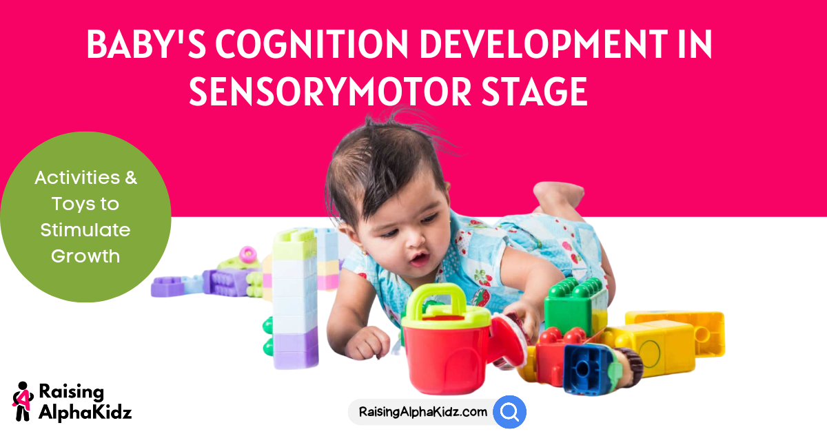 Activities and toys for Cognition Development in Sensorymotor Stage