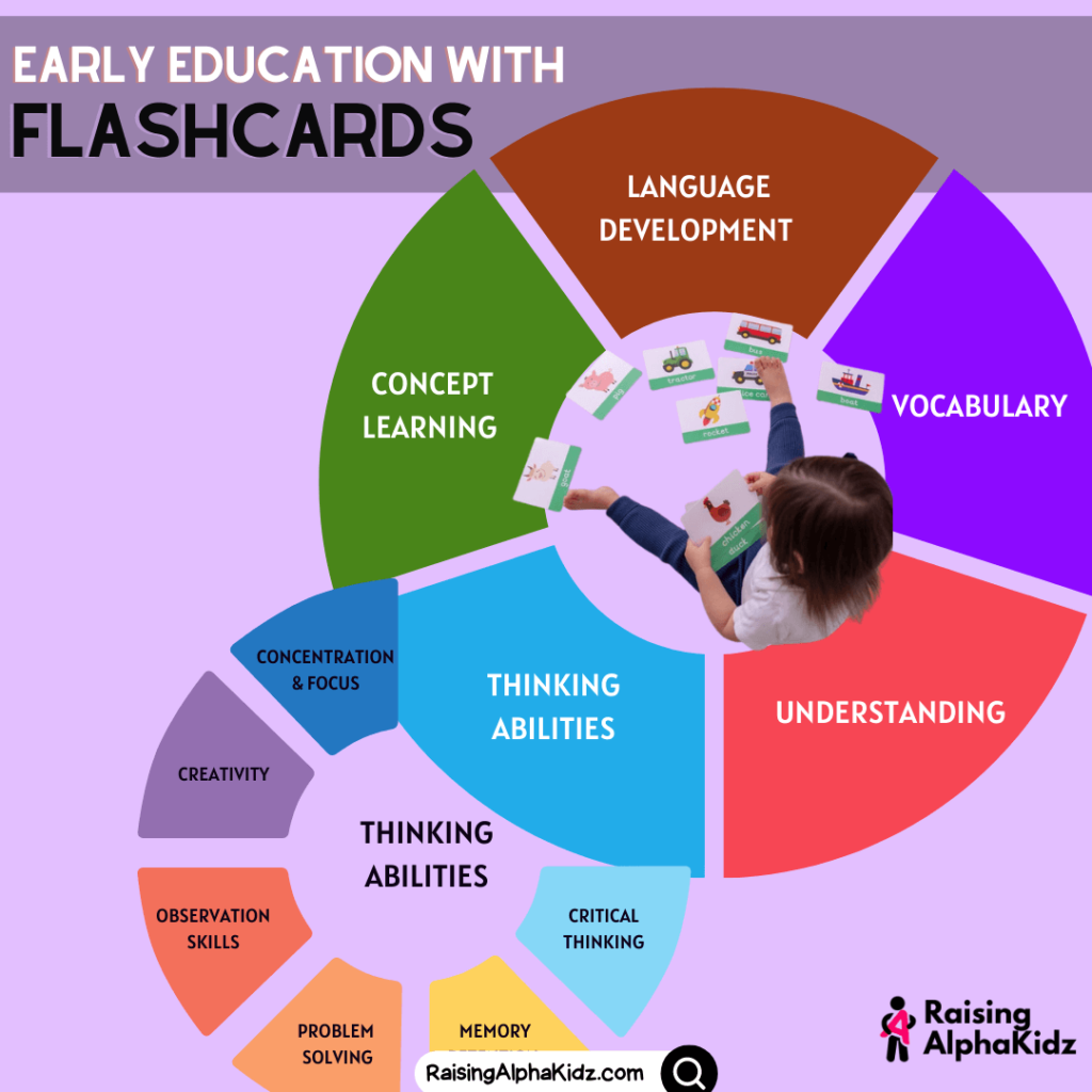 Feed the Curious Minds: Interactive Flashcard Activities 