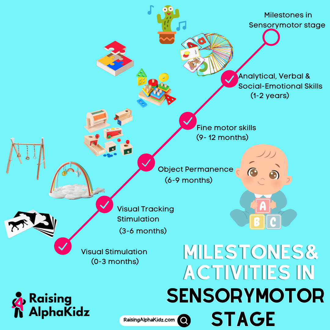 Activities & Toys for Cognition Development in Sensorymotor Stage ...