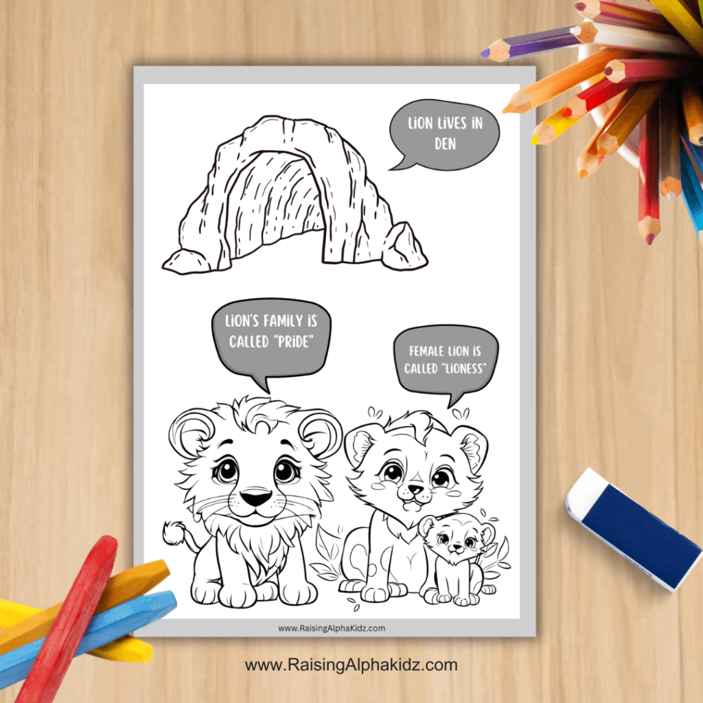 Lion Facts Colouring Pages 