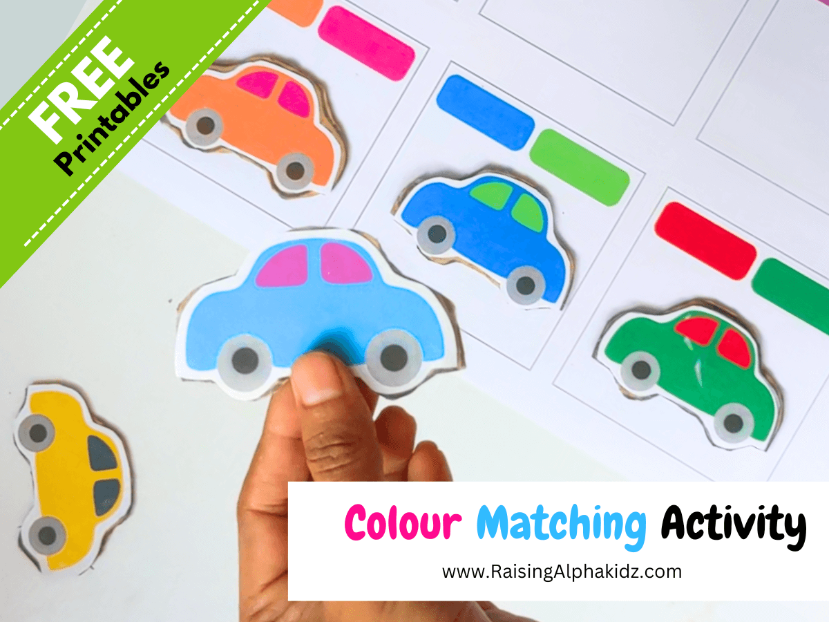 DIY Colour Matching Activity