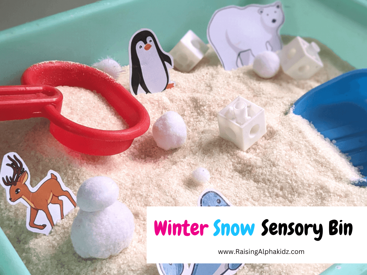 Winter Snow Sensory Bin