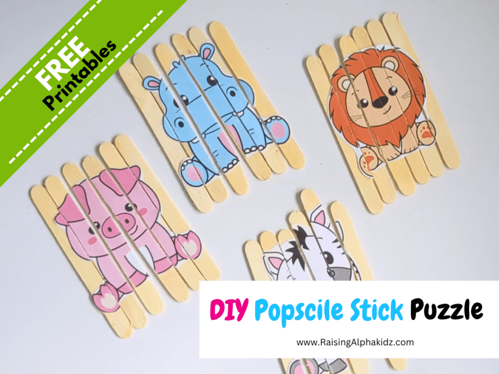 How to make popsicle sticks puzzle game