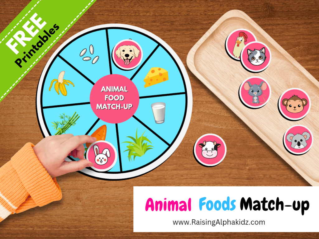 Animal Food Matching Activity – Free Template - Raising Alphakidz