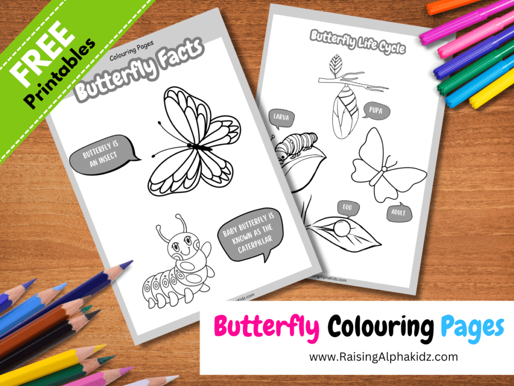 Butterfly Colouring Pages