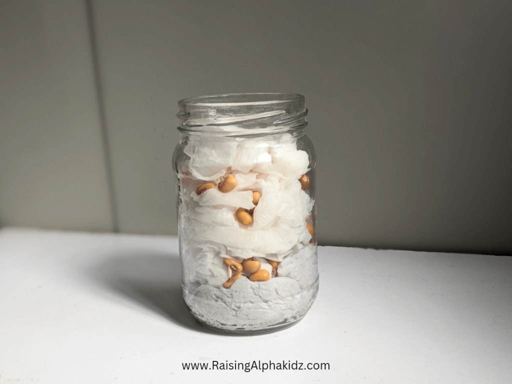 DIY Seed Germination Jar