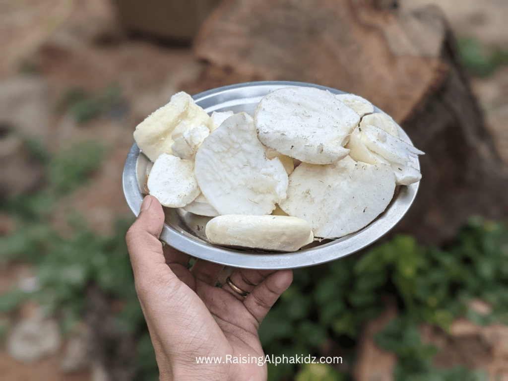 Raw Snack: Harvesting Palm Sprout