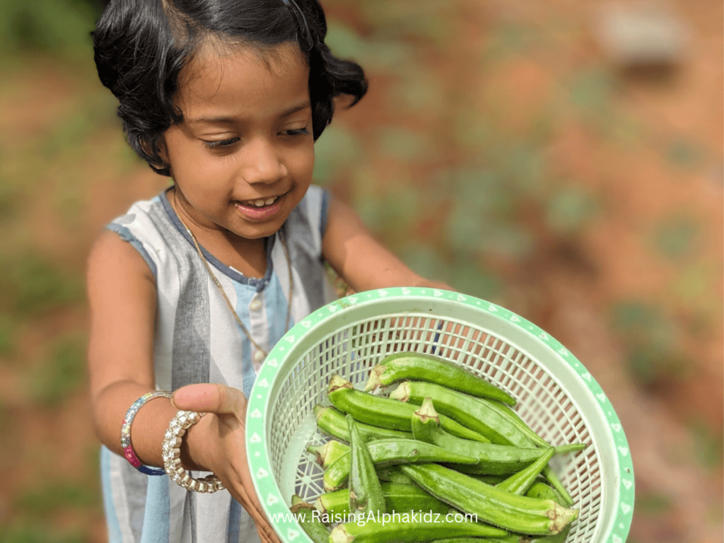 Kids Harvesting from Garden