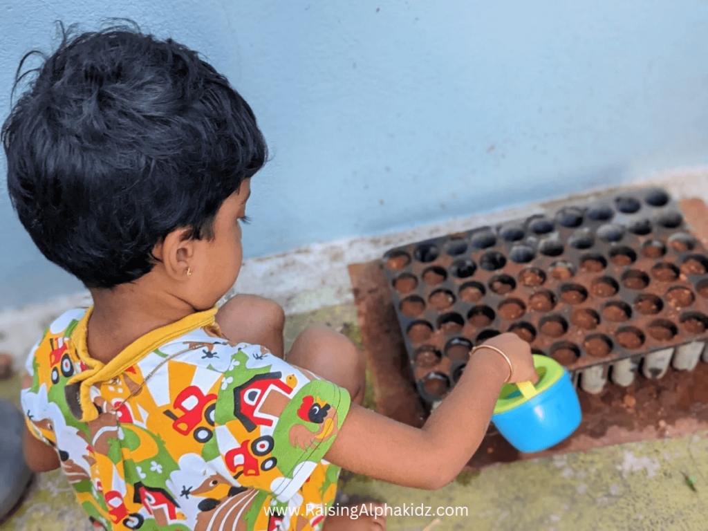 Watering the seeds