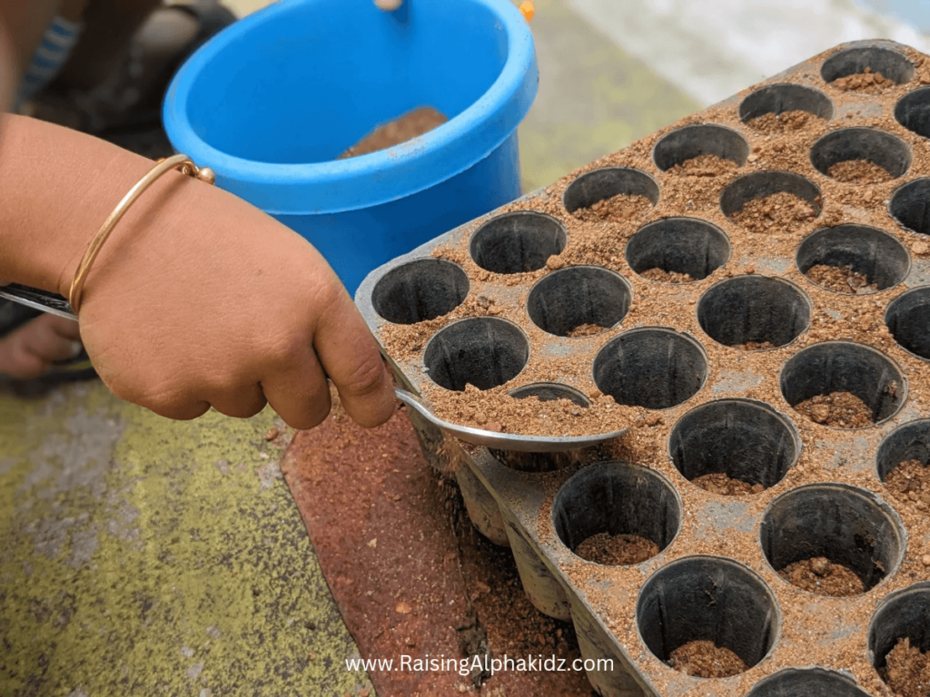 Kids Gardening Activity 