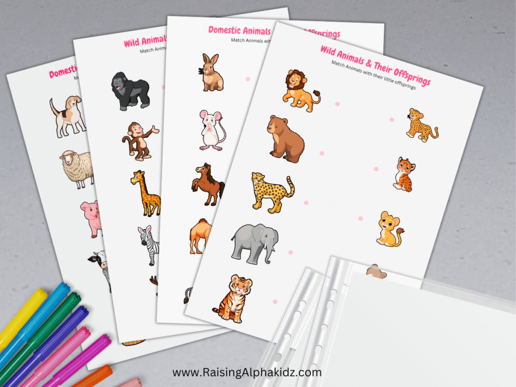 Animals And Their Young Ones Worksheets 