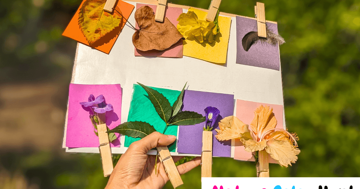 Nature color scavenger hunt to boost observation skills