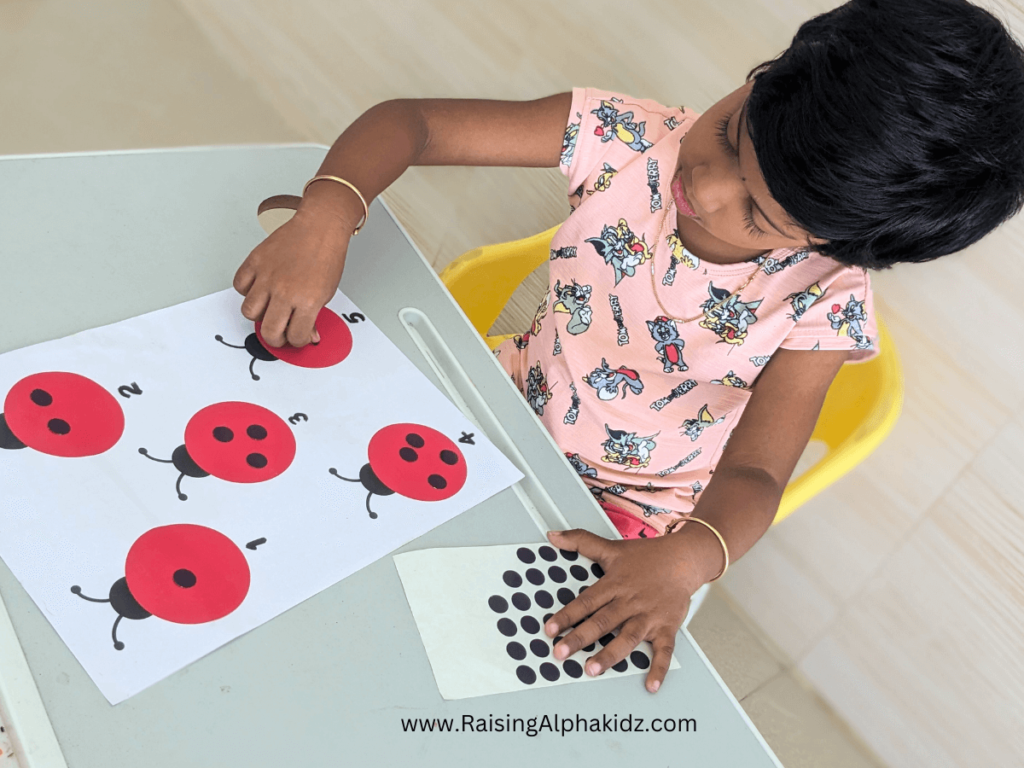 Ladybug Spots Counting Activity