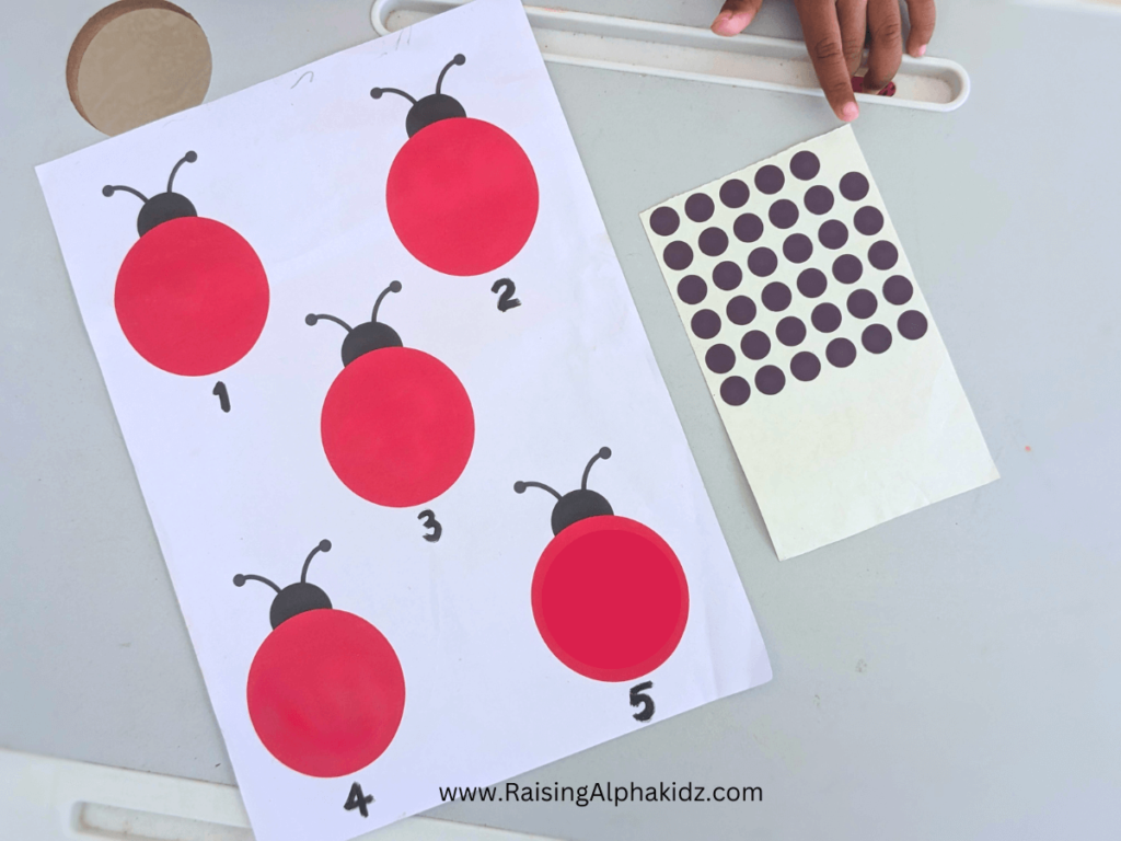 Ladybug Spots Counting Activity