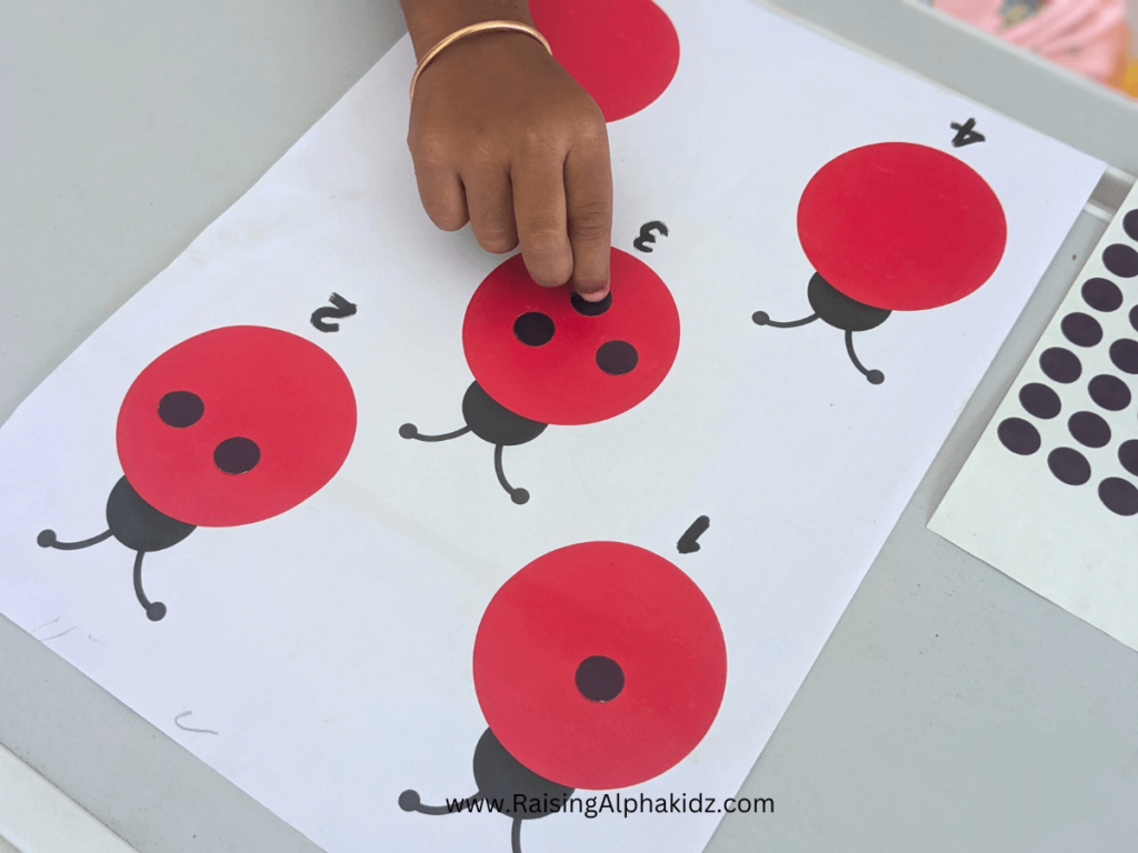 Ladybug Spots Counting Activity