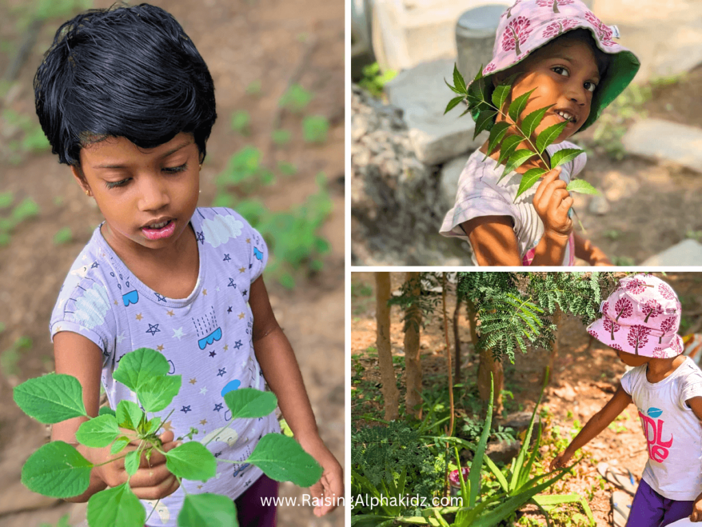 Soap-Making-With-Kids-Sustainability-Craft
