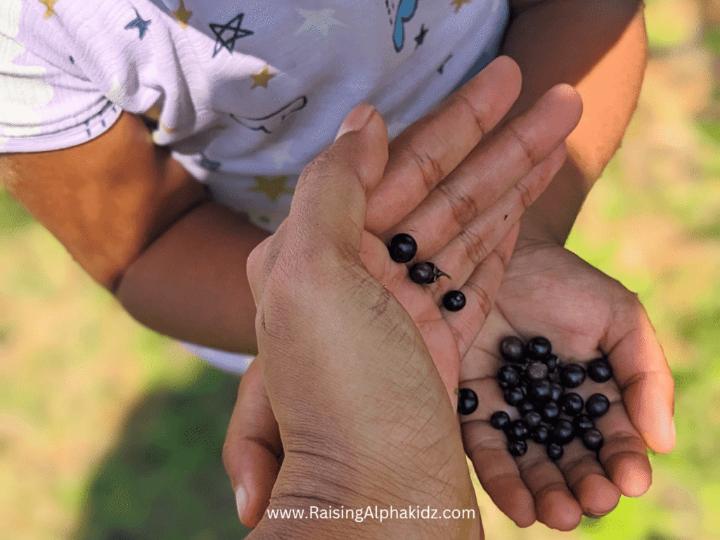 Foraging with kids