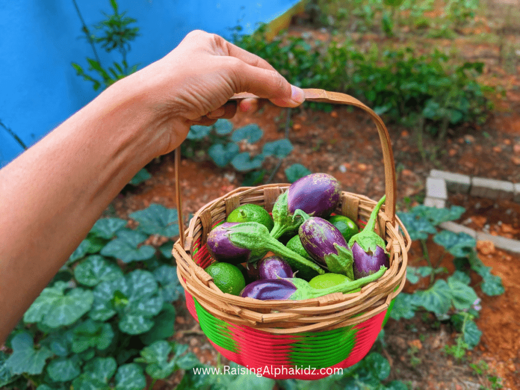 Kids Kitchen Garden