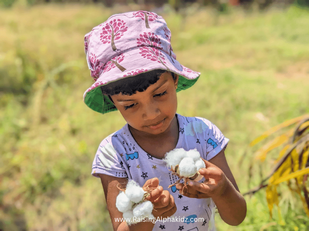 Kids Kitchen Garden