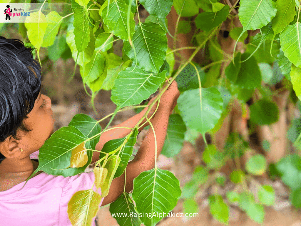 Nature_Mandala_Art_For_Kids