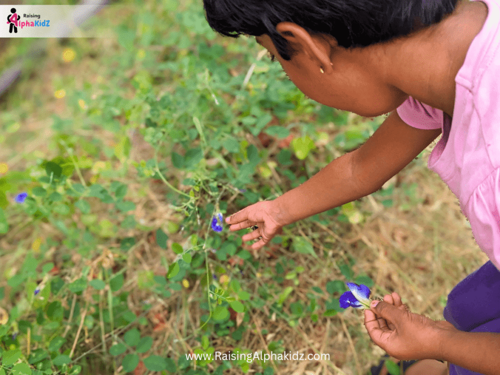 Nature_Mandala_Art_For_Kids