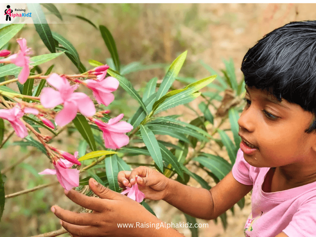 Nature_Mandala_Art_For_Kids