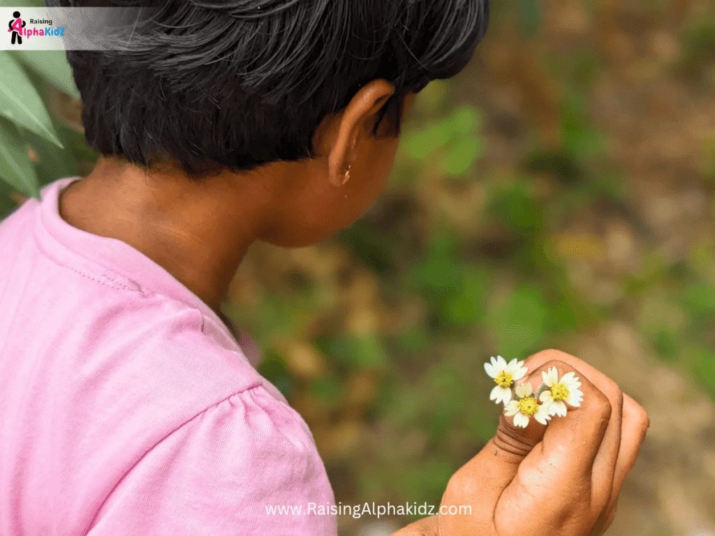 Step 1: Gathering flowers for creating nature mandala Art