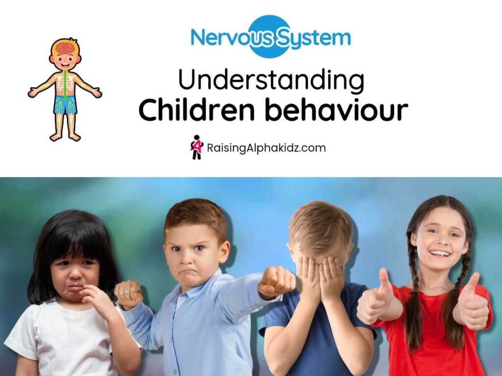 Understanding-children-behaviour-nervous-system