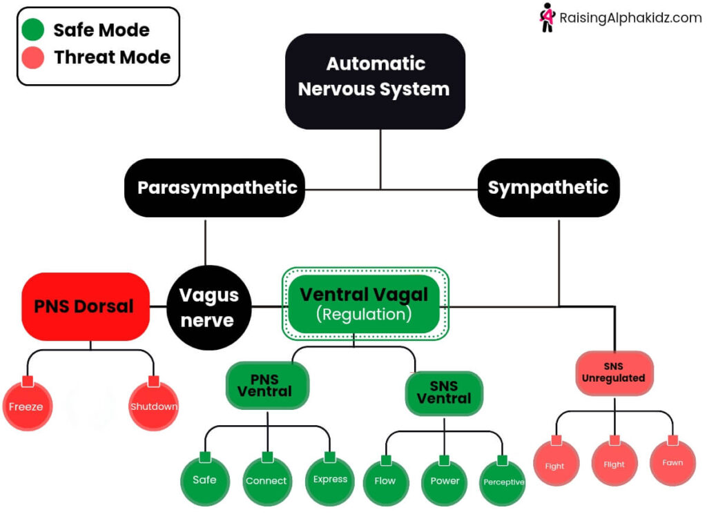 Children nervous system modes