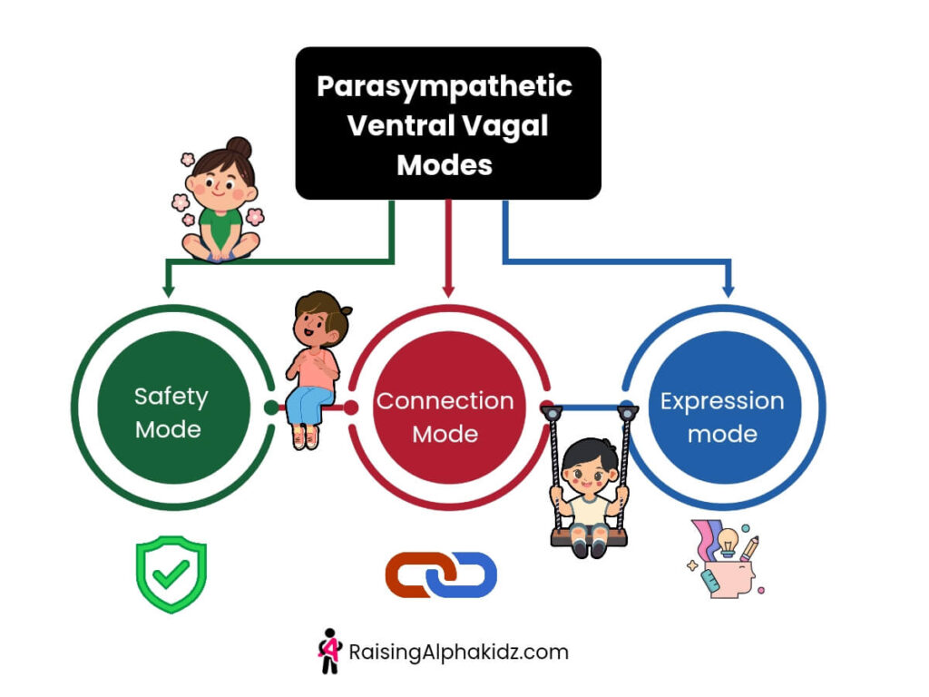 Parasympathetic ventral vagal modes