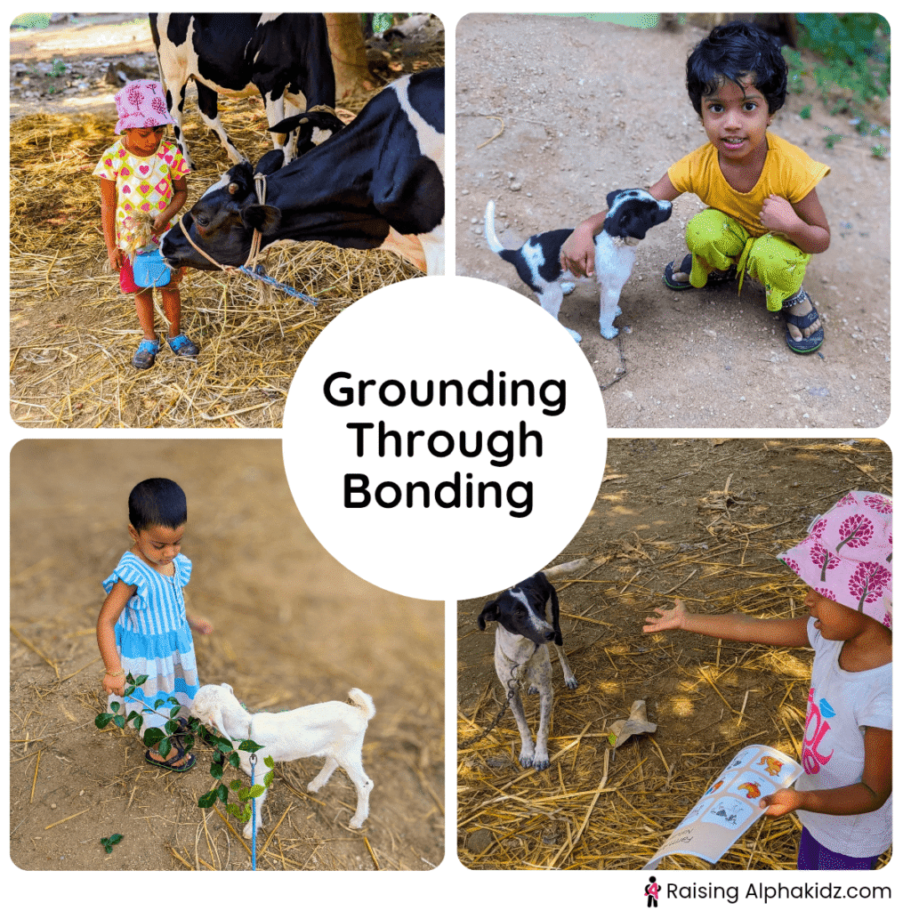 child bonding with farm animals and dog through feeding and play as emotional grounding activities 