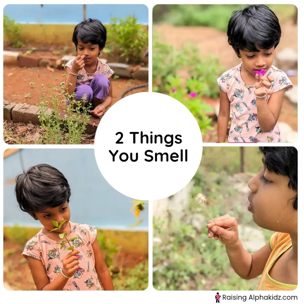 5-4-3-2-1 grounding technique based activity ideas for 2 things you can smell