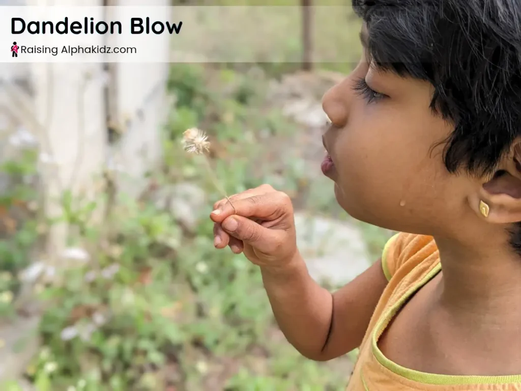 child blowing a dandelion during a 54321 grounding activity