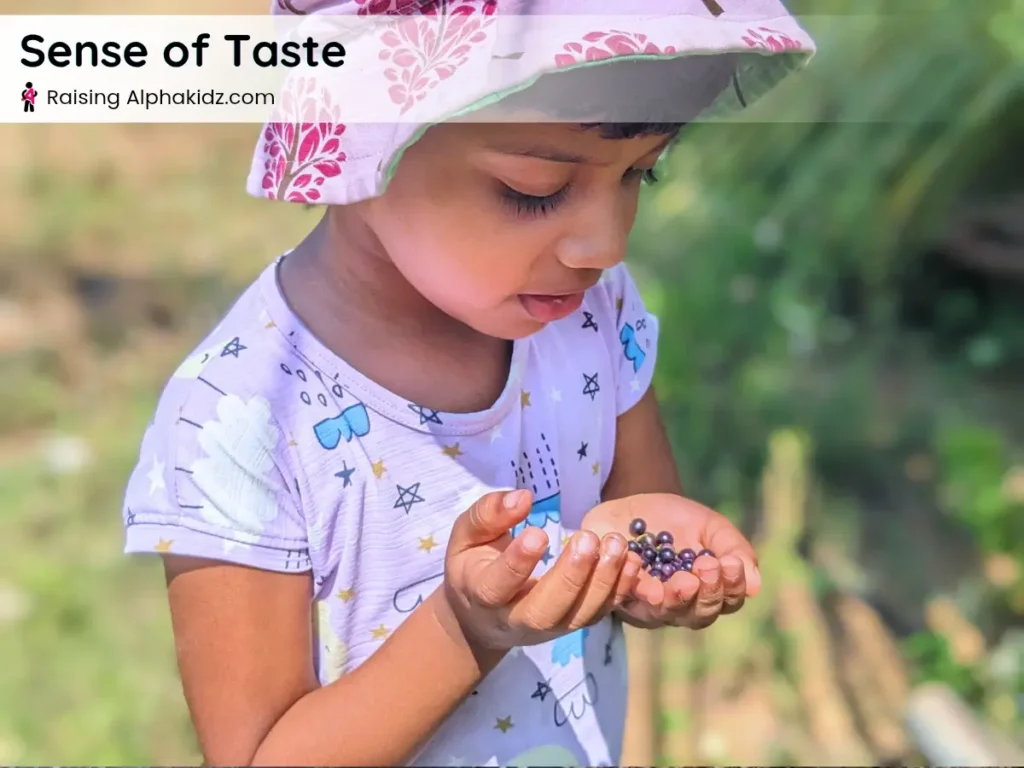child tasting berries during sense of taste 5-4-3-2-1 grounding technique 