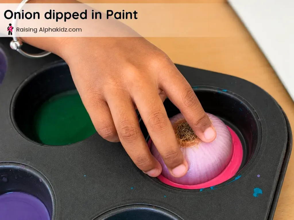onion stamp art by dipping a cut onion into pink paint for vegetable stamping activity