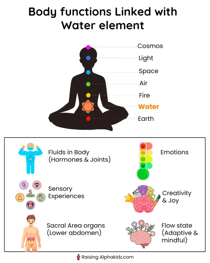 Human body diagram highlighting organs, fluids, and functions associated with the water element.