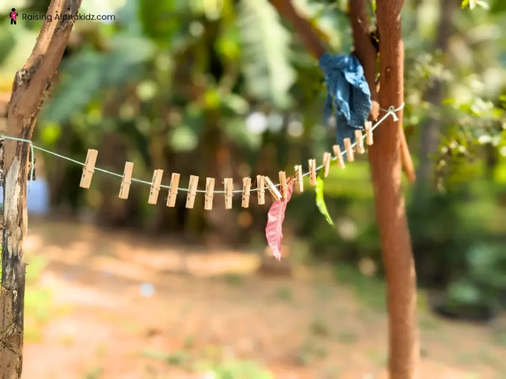 String stretched to make nature garland