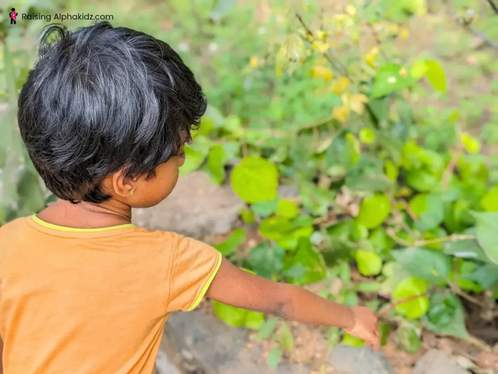 Kid going for nature hunt to collect things for making nature garland 